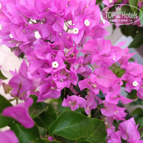 фото из отзыва ID 2721914