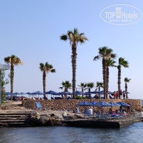 фото из отзыва ID 2721914