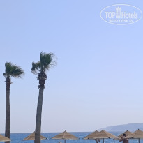 фото из отзыва ID 2721914