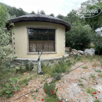 фото из отзыва ID 2721937