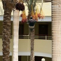 фото из отзыва ID 2721954