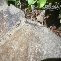 фото из отзыва ID 2721954