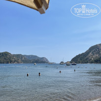 фото из отзыва ID 2721955