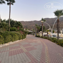 фото из отзыва ID 2721955