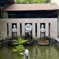 фото из отзыва ID 2721958