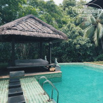 фото из отзыва ID 2721958