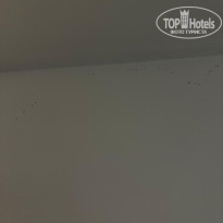 фото из отзыва ID 2721962