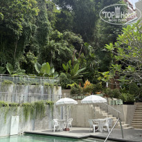 фото из отзыва ID 2721963