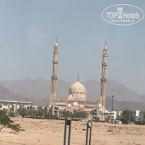 фото из отзыва ID 2721981