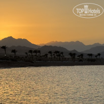 фото из отзыва ID 2721981