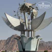 фото из отзыва ID 2721981