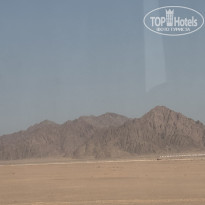 фото из отзыва ID 2721981