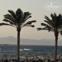 фото из отзыва ID 2721981