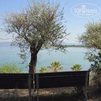 фото из отзыва ID 2721997