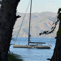 фото из отзыва ID 2722012