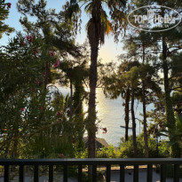 фото из отзыва ID 2722012