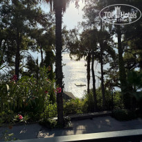 фото из отзыва ID 2722012