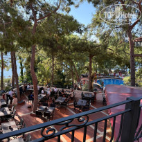 фото из отзыва ID 2722012