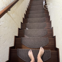 фото из отзыва ID 2722006