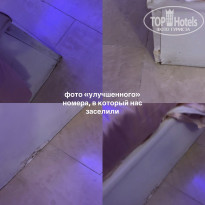 фото из отзыва ID 2722019