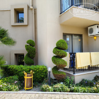 фото из отзыва ID 2722023