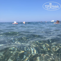 фото из отзыва ID 2722042