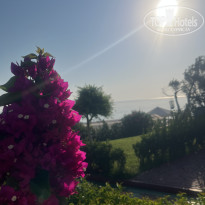 фото из отзыва ID 2722042