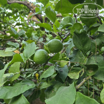 фото из отзыва ID 2722052