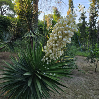 фото из отзыва ID 2722052