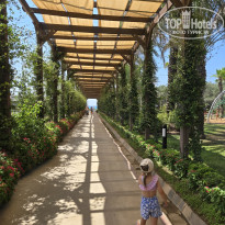 фото из отзыва ID 2722052