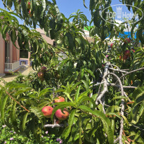 фото из отзыва ID 2722052