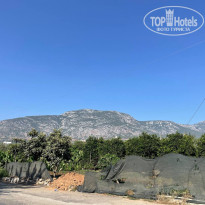 фото из отзыва ID 2722055