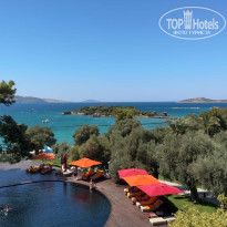 фото из отзыва ID 2722071