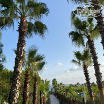 фото из отзыва ID 2722095