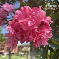 фото из отзыва ID 2722100