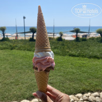 фото из отзыва ID 2722100