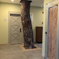 фото из отзыва ID 2722141