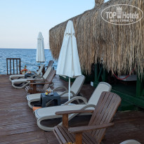 фото из отзыва ID 2722141