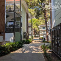 фото из отзыва ID 2722141