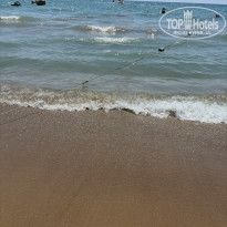 фото из отзыва ID 2722148