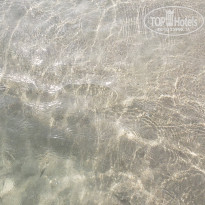 фото из отзыва ID 2722197