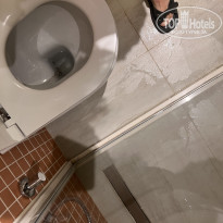 фото из отзыва ID 2722196