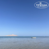 фото из отзыва ID 2722225