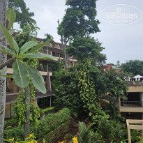 фото из отзыва ID 2722216