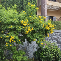 фото из отзыва ID 2722216