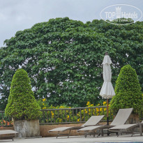 фото из отзыва ID 2722216