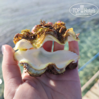 фото из отзыва ID 2722237