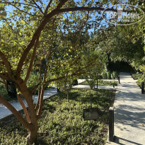 фото из отзыва ID 2722239