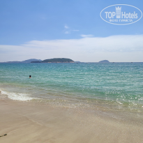 фото из отзыва ID 2722258