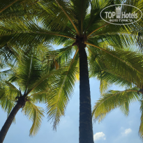 фото из отзыва ID 2722258